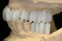 3D-B4