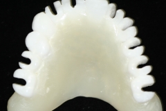 3D-B5
